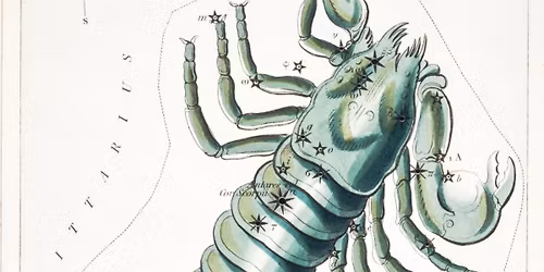 Under the Stars Sound Bath : Scorpio Season with Holly Weber of Resonate Reiki Healing