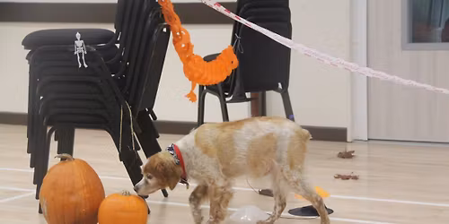 Treasure Island Scent workshop