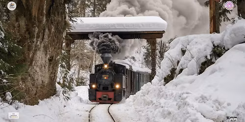 Circuit Maramures Revelionul Intarziatilor cu Ceterasi - 4 Zile - de la 1485 Lei