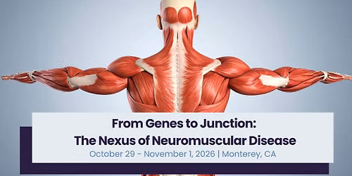 \ufeffFrom Genes to Junction: The Nexus of Neuromuscular Disease