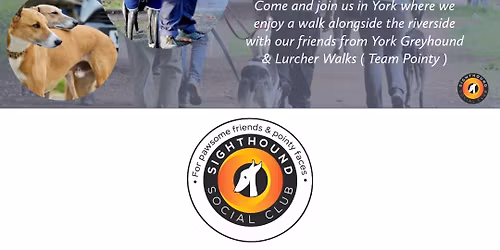 Monthly York Walk - Hosted by our friends at Team Pointy