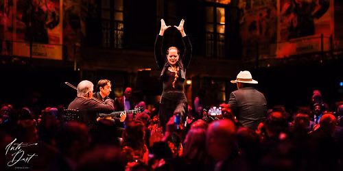 Oleaje Flamenco at ZAG!