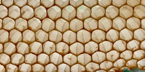 A HAP-BEE XMAS monthly (every first Friday) Bee Happy Hour