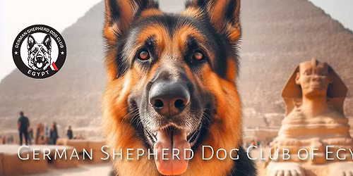 Egypt Sieger Show XI - \u0628\u0637\u0648\u0644\u0629 \u0645\u0635\u0631 \u0627\u0644\u062f\u0648\u0644\u064a\u0629 \u0627\u0644\u062d\u0627\u062f\u064a\u0629 \u0639\u0634\u0631 \u0644\u0643\u0644\u0627\u0628 \u0627\u0644\u0631\u0627\u0639\u064a \u0627\u0644\u0644\u0645\u0627\u0646\u064a