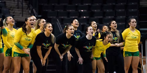 LIU Sharks at Oregon Ducks Womens Volleyball at Matthew Knight Arena