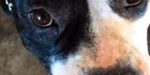 beppunobu gallery LLC ~ art\/auction 