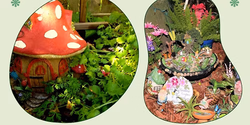 Fairy Moss Garden - Horizons