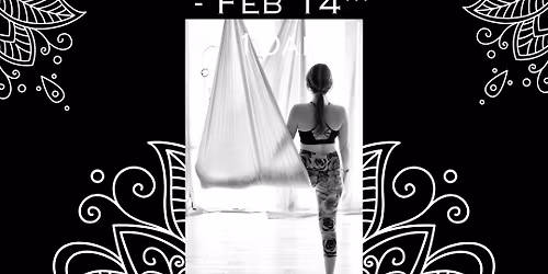 Beginners Aerial Yoga Series ( 4wk)