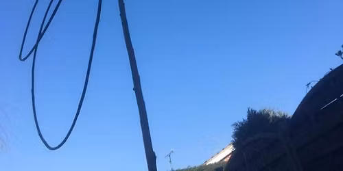 Willlow Dragonfly Workshop