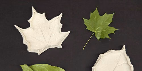 Teen Tuesday-Make your own leaf imprint clay dish!