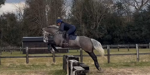 Fair Oak (Rogate) XC clinic 