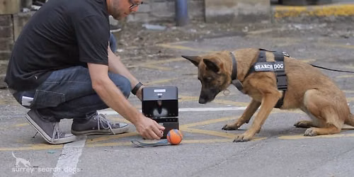 Scent Detection With Simon Prins