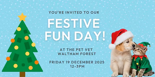 Festive fun day at The Pet Vet Waltham Forest!