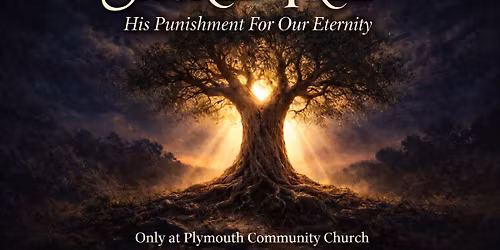 Week 3 - Sacred Tree