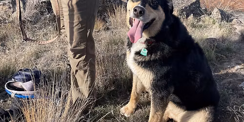 Chapter Meeting: Rare Plants of the Ochoco Mountains