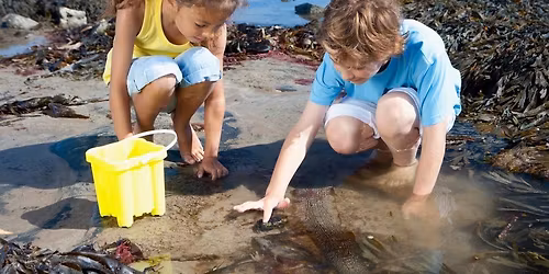 Rock Pool Ramble with Grace, Luke and Chris