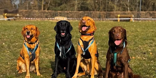 Begleithundepr\u00fcfung 