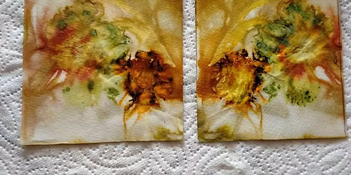 Eco Printing on Paper, Further Explorations Sept.16th