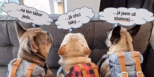 27. SVP - Letn\u00ed t\u00e1bor pro psy a jejich majitele s Evou \u0160temberovou