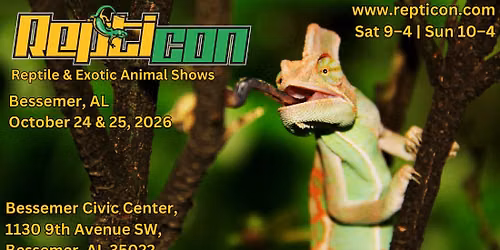 Repticon Bessemer (Birmingham West)