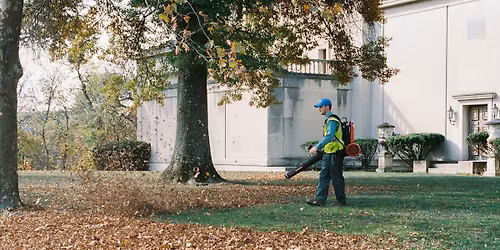 Rake it Forward on 4th St.