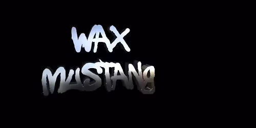 wax mustang, L.A.B., The Bamboos, Tiki Taane, Bud Rokesky, Drax Project, Thundamentals, The Dreggs in Sydney