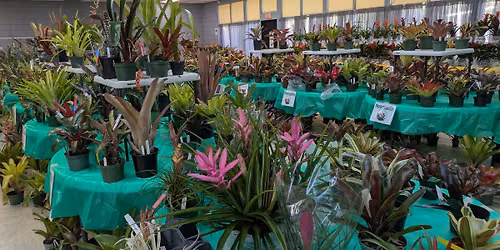 Annual Fall Plant Sale