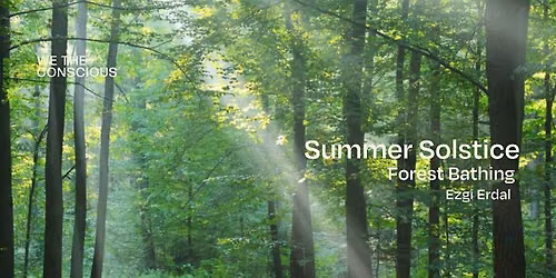Summer Solstice Forest Bathing