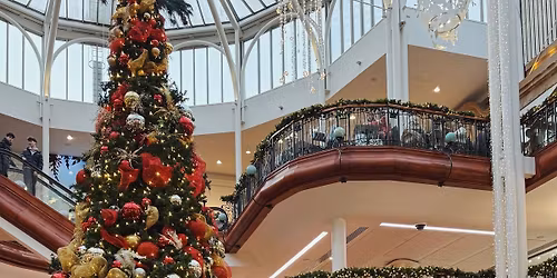 Yoga Under the Tree \ud83c\udf84