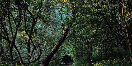 San Francisco Ballet: La Sylphide