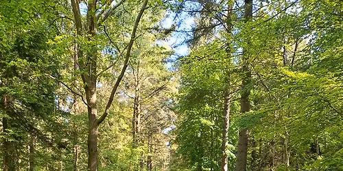 Welpen Erziehung Starterpaket im Stadtpark Hamburg