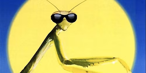 Mycoverse: Screening of Seeing Fungi & Microcosmos