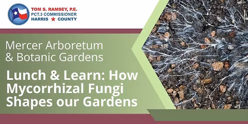 Lunch & Learn: How Mycorrhizal Fungi Shapes our Gardens