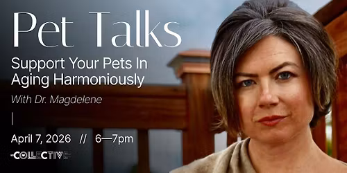 Vet Talk: Support Your Pets In Aging Harmoniously