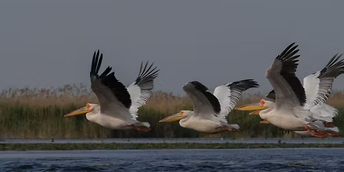 Indoor meeting - Danube Delta with Julia Hill