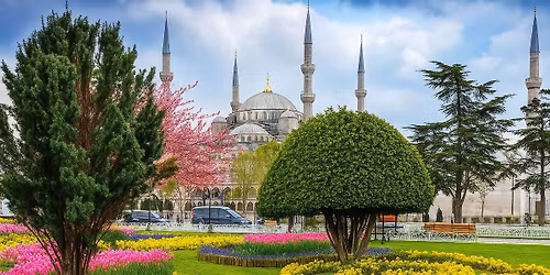 \u10e2\u10d8\u10e2\u10d4\u10d1\u10d8\u10e1 \u10e4\u10d4\u10e1\u10e2\u10d8\u10d5\u10d0\u10da\u10d8 \u10e1\u10e2\u10d0\u10db\u10d1\u10dd\u10da\u10d8\u10e1 \u10d3\u10d0 \u10de\u10e0\u10d8\u10dc\u10ea\u10d4\u10d1\u10d8\u10e1 \u10d9\u10e3\u10dc\u10eb\u10e3\u10da\u10d4\u10d1\u10d8. \u10dd\u10d7\u10ee\u10d3\u10e6\u10d8\u10d0\u10dc\u10d8 \u10e2\u10e3\u10e0\u10d8