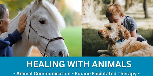 Healing with Animals 3-Day Course