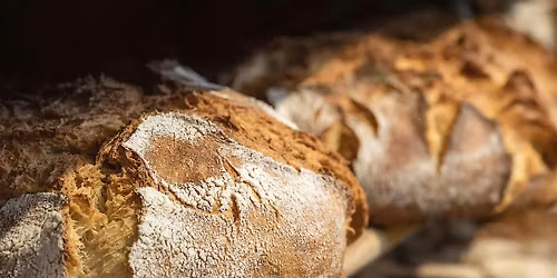 Wales Bakery Conference 2026 | Cynhadledd Pobi Cymru 2026