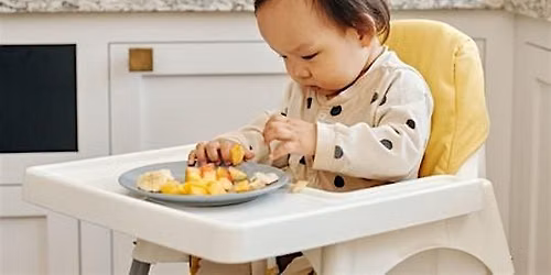 Introducing Solids Workshop (Thurs 8th Oct 2026) 1 - 2.30pm