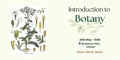 Introduction to Botany