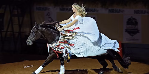 NRHA Freestyle Reining