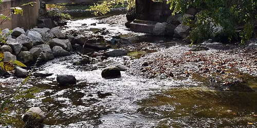 Bedford Reservation Day Hike Trip