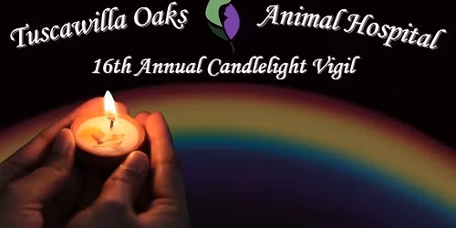 16th Annual Candlelight Vigil