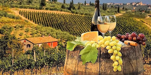 Exploring the Wines of Tuscany