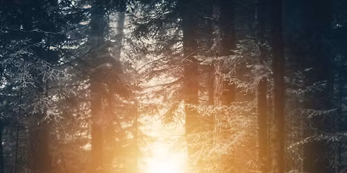 Ancient Hearts Collective - November Nature Gathering