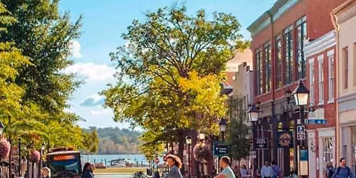 Alexandria Mystery Picnic: Self-Guided Foodie Adventure