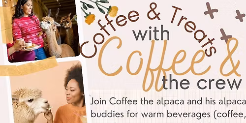 Coffee & Treats with Alpacas