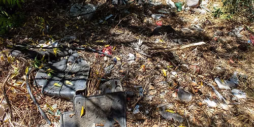 TEAM 222  Cleanup on Los Guadalupe River At Hedding Street