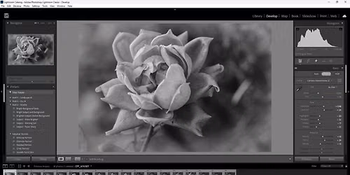 Adobe Lightroom 101