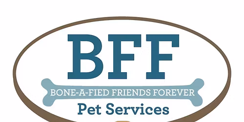 Basic Obedience\/Tricks Combo Class